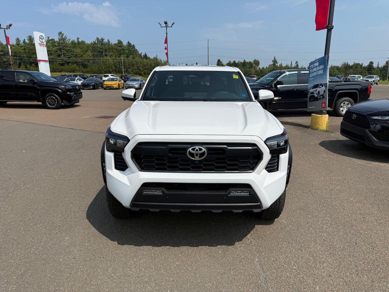 2025 Toyota Tacoma TRD Off Road Premium Photo1