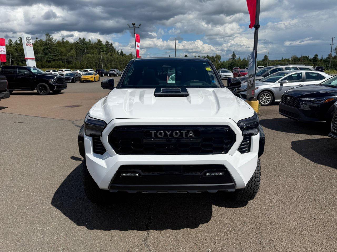 2025 Toyota Tacoma HYBRID TRD Pro Photo