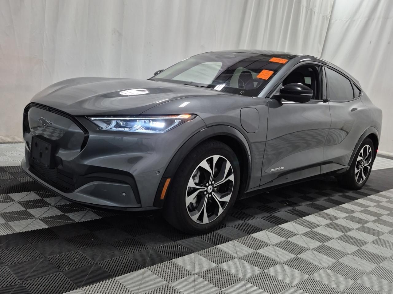 2021 Ford Mustang Mach-E Premium Photo0