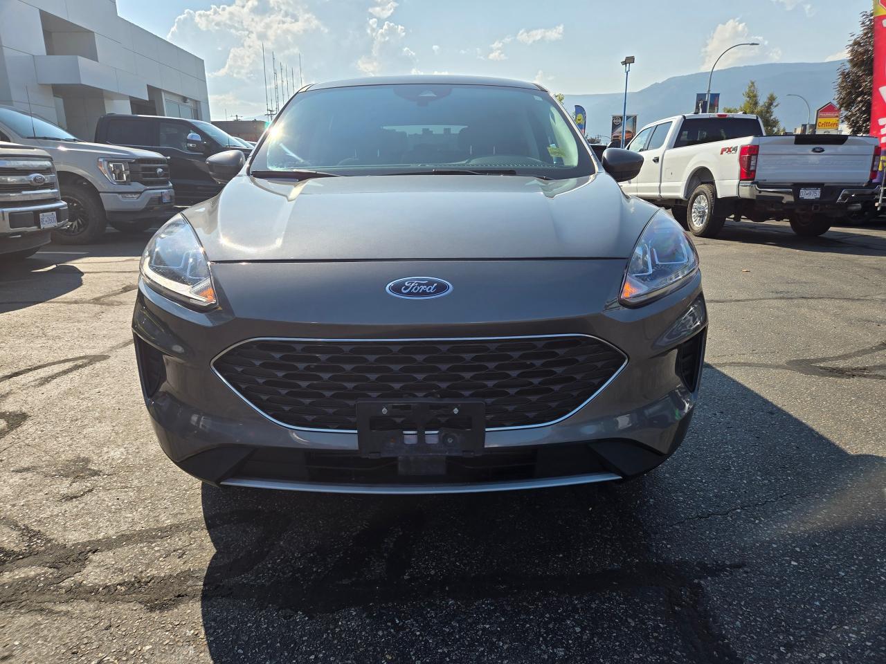 2021 Ford Escape SE Photo