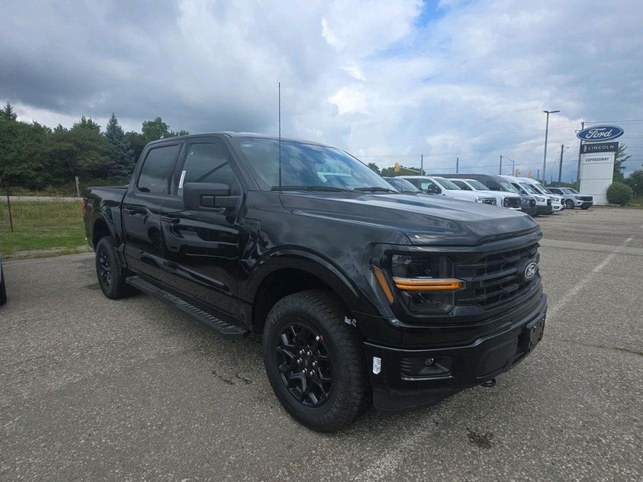 2025 Ford F-150 XLT Photo5