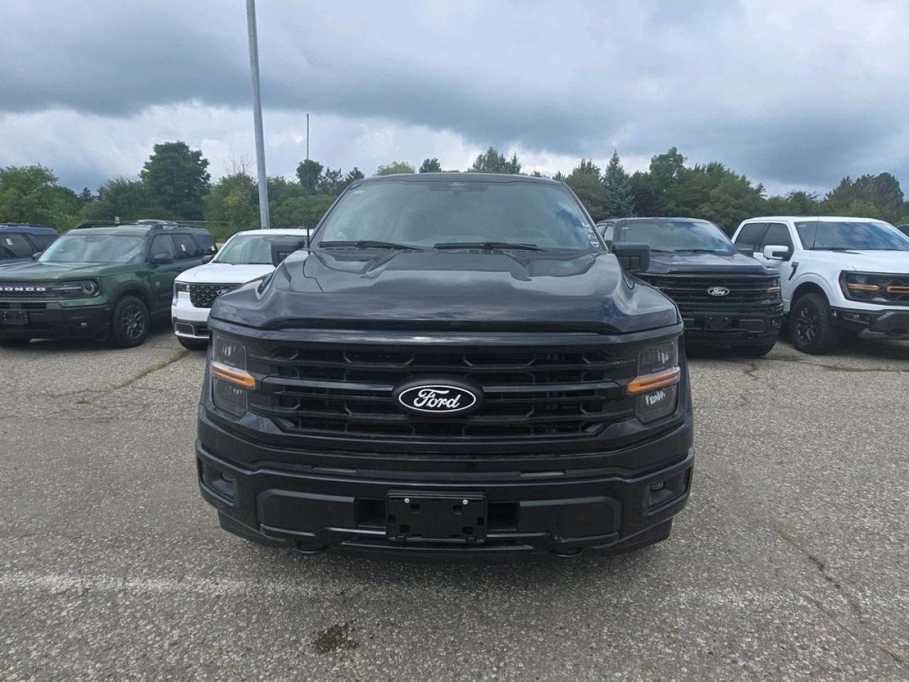 2025 Ford F-150 XLT Photo1