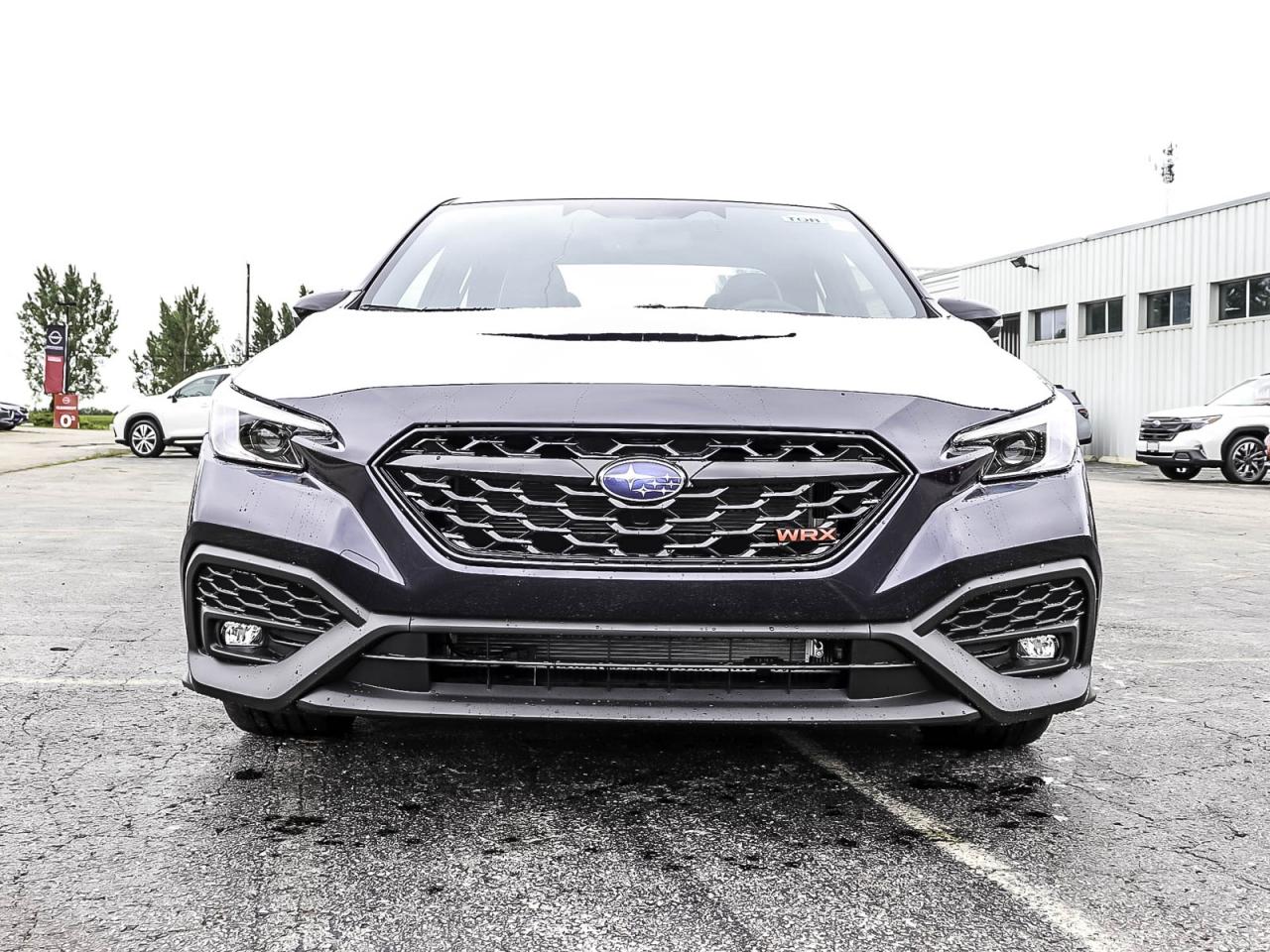 2025 Subaru WRX tS Photo