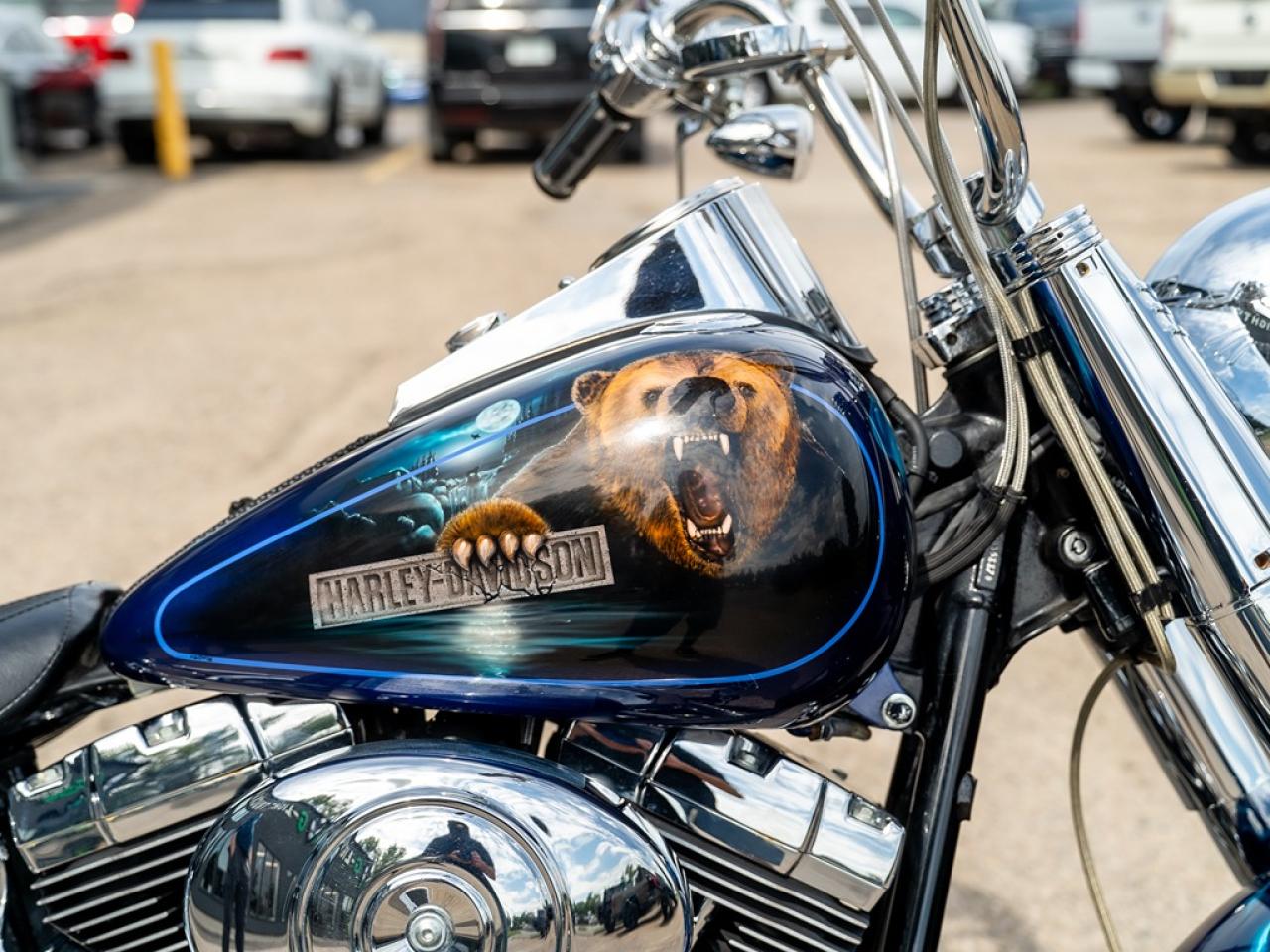 2006 Harley-Davidson FAT BOY FAT BOY Photo11