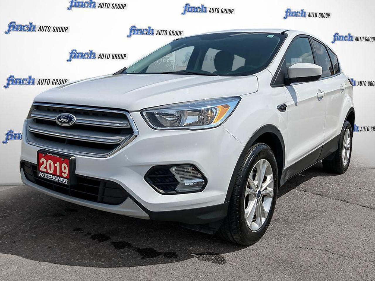 Used 2019 Ford Escape SE No Accidents | Great Condition! for sale in Kitchener, ON