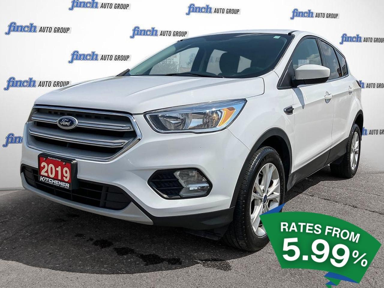 Used 2019 Ford Escape SE No Accidents | Great Condition! for sale in Kitchener, ON