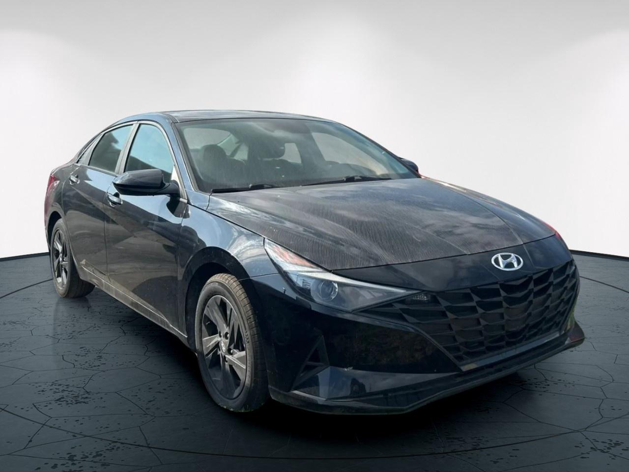 2023 Hyundai Elantra SEL Photo