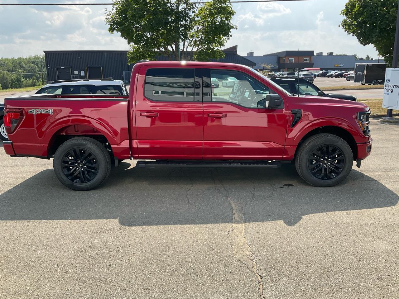 2025 Ford F-150 XLT Photo5