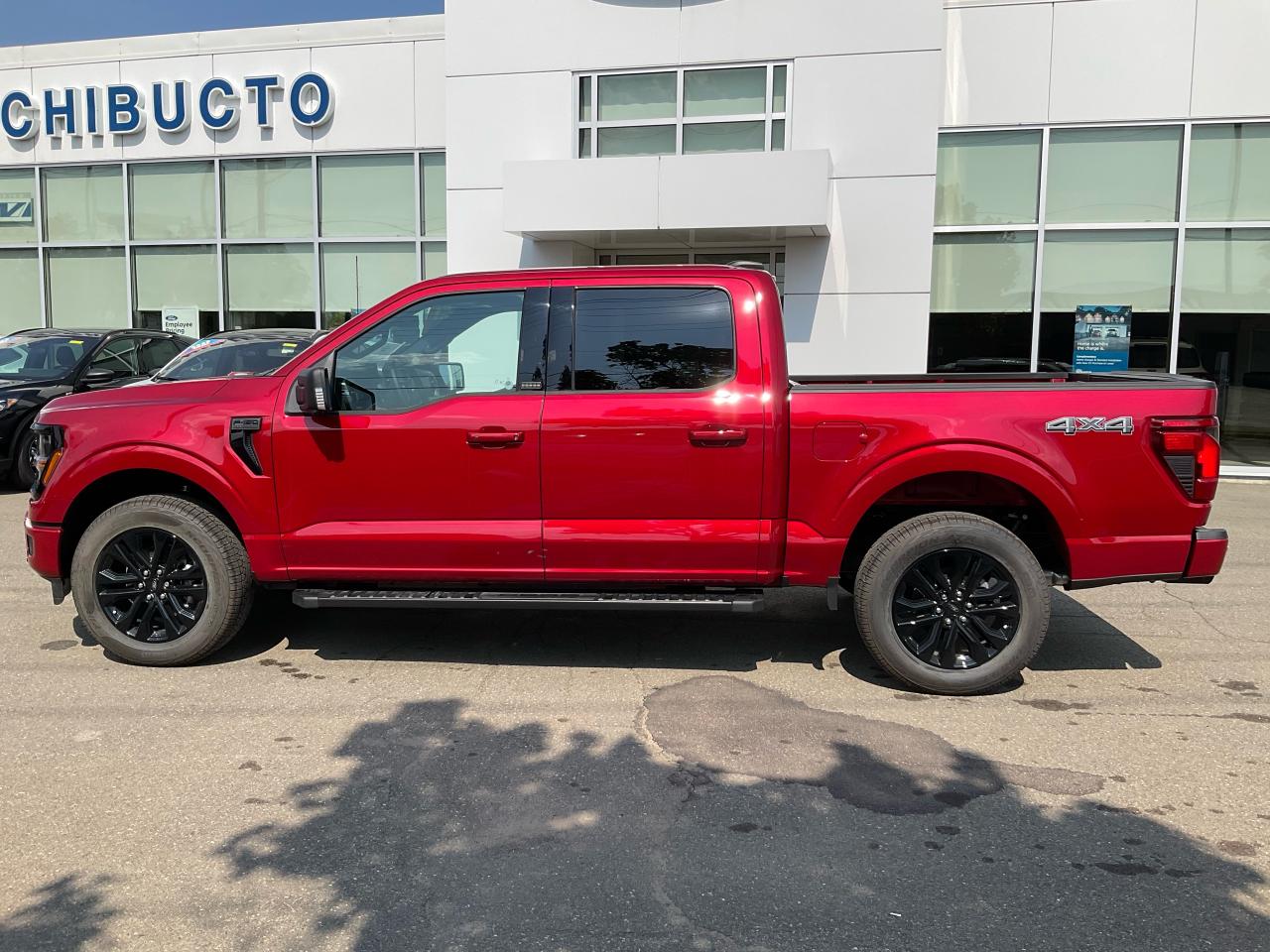 2025 Ford F-150 XLT Photo3