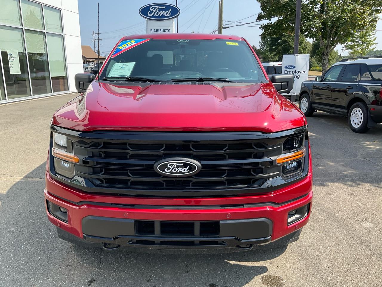 2025 Ford F-150 XLT Photo5