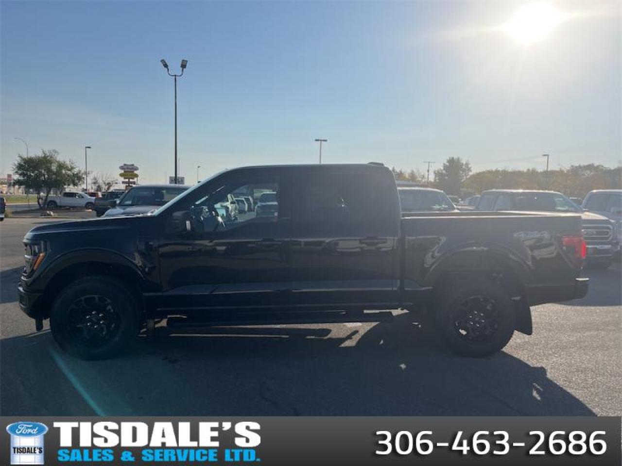 2025 Ford F-150 XLT  - 18" Wheels - Tow Package Photo0