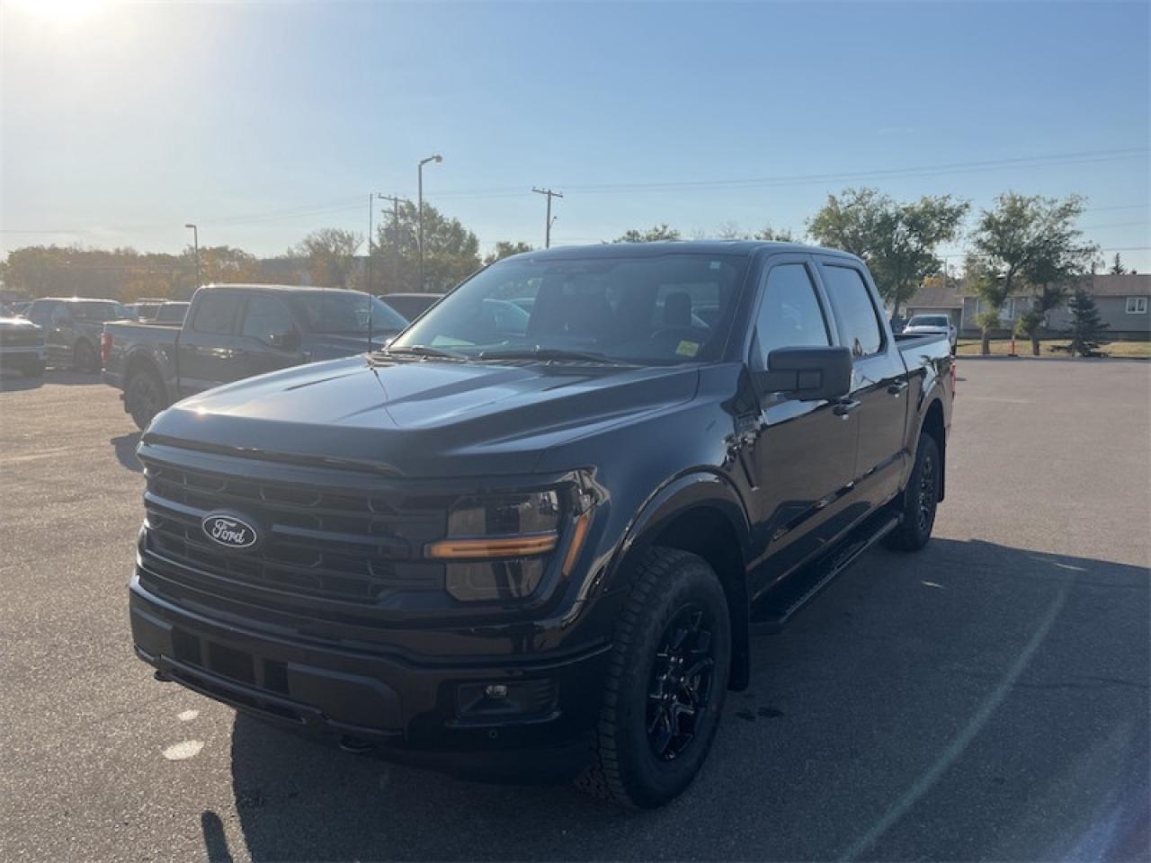2025 Ford F-150 XLT  - 18" Wheels - Tow Package Photo4