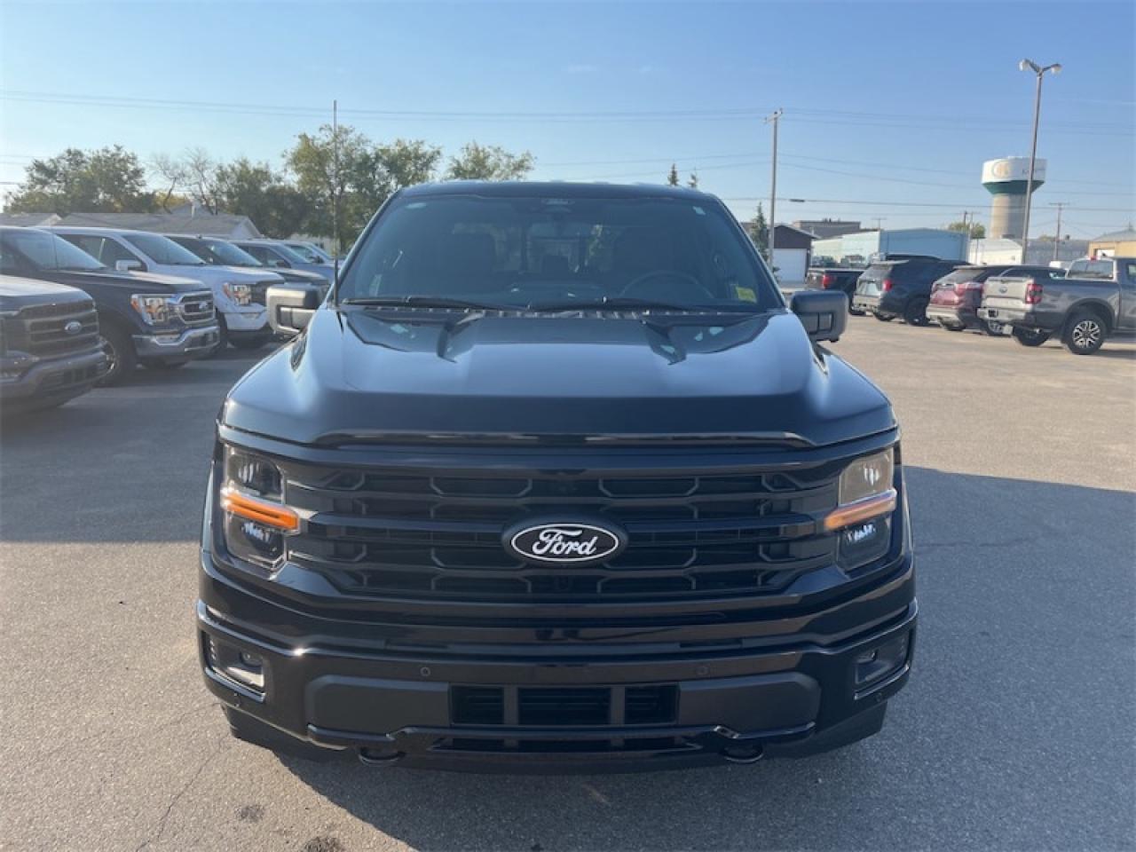 2025 Ford F-150 XLT  - 18" Wheels - Tow Package Photo3