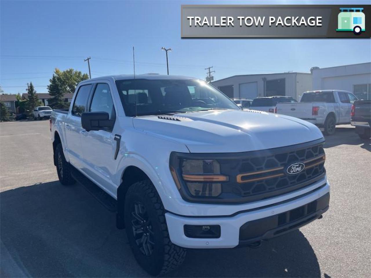 2025 Ford F-150 Tremor  - Tow Package Photo5