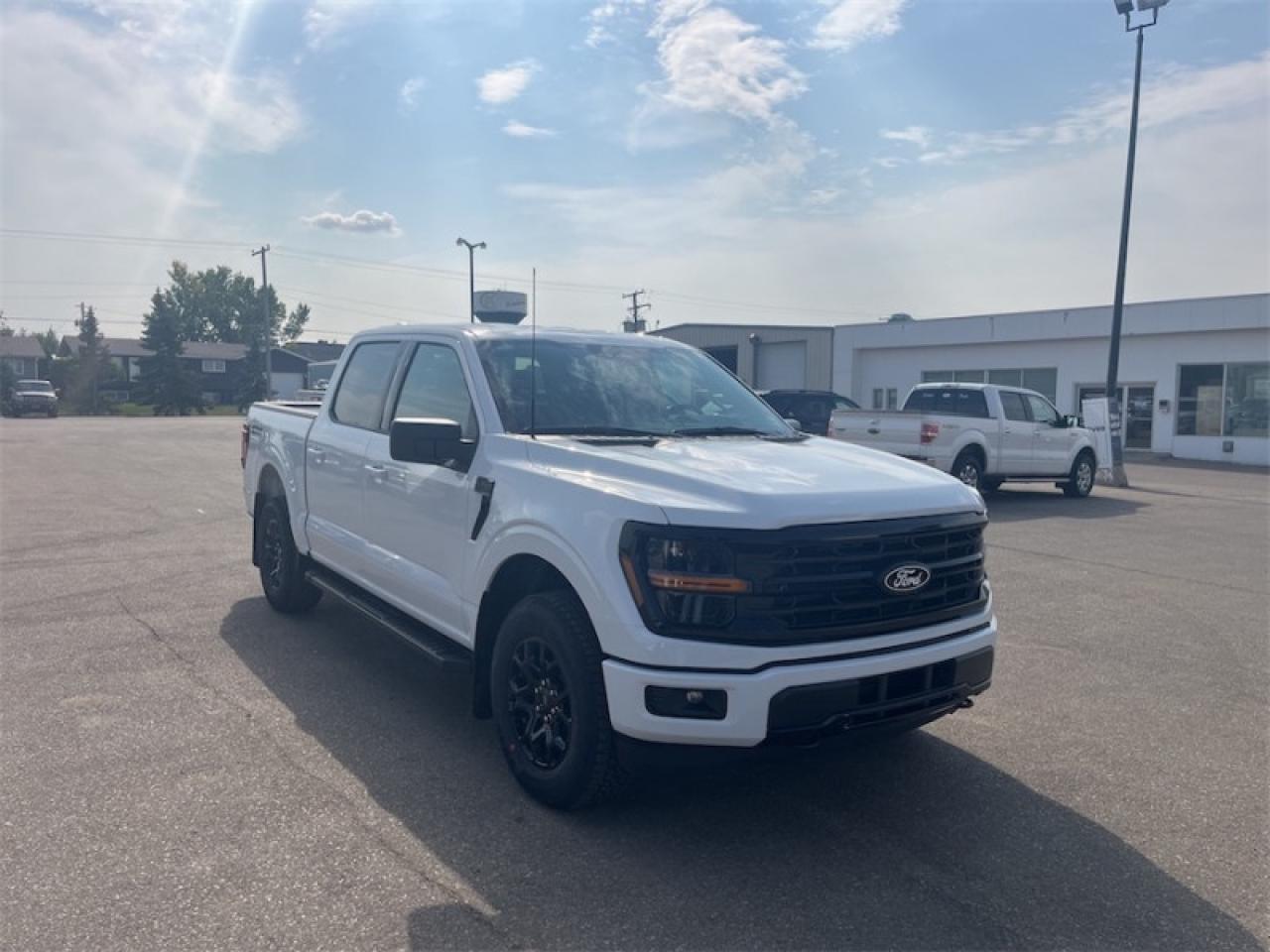 2025 Ford F-150 XLT  - 18" Wheels Photo2