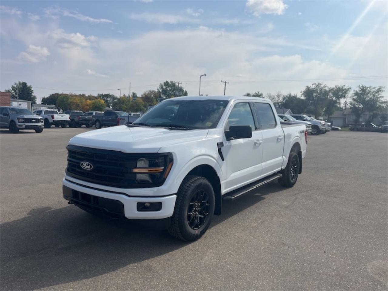2025 Ford F-150 XLT  - 18" Wheels Photo4