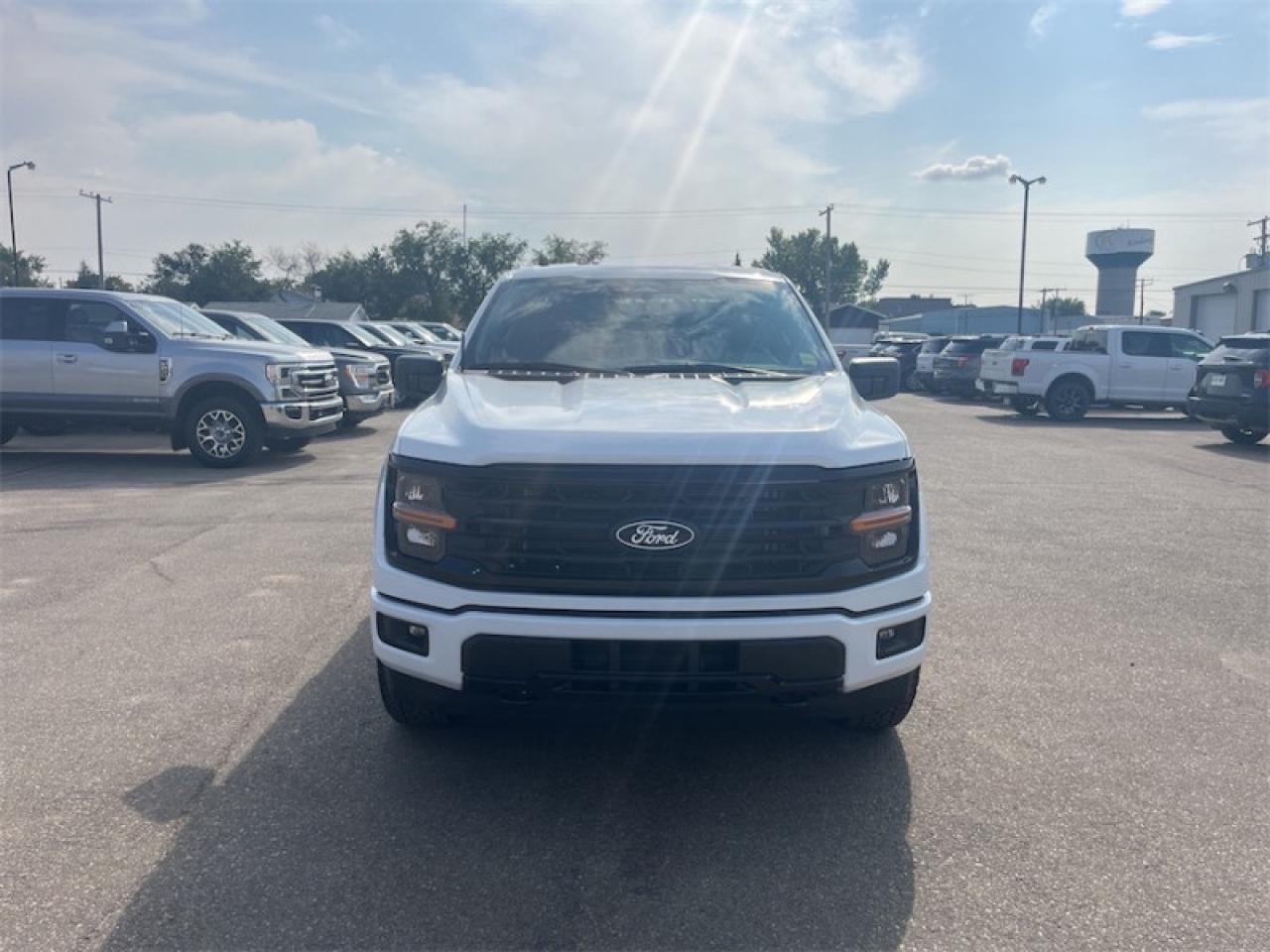 2025 Ford F-150 XLT  - 18" Wheels Photo