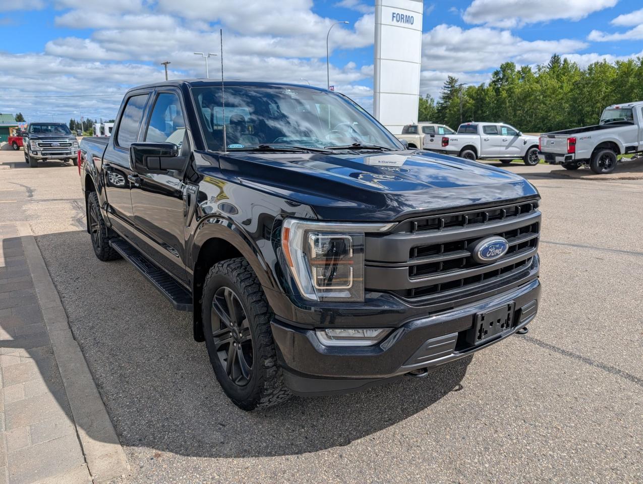 2021 Ford F-150 Lariat Photo