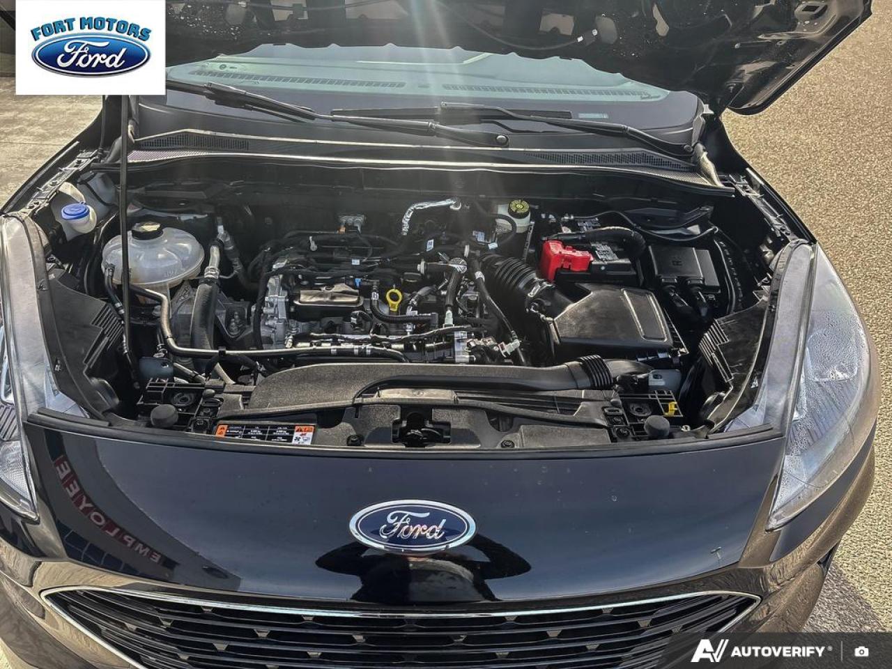 2022 Ford Escape SE Photo5