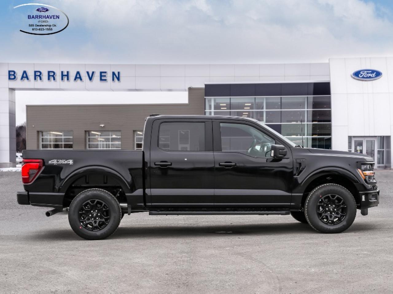 2025 Ford F-150 XLT Photo