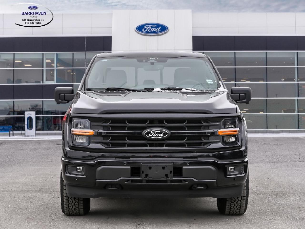 2025 Ford F-150 XLT Photo
