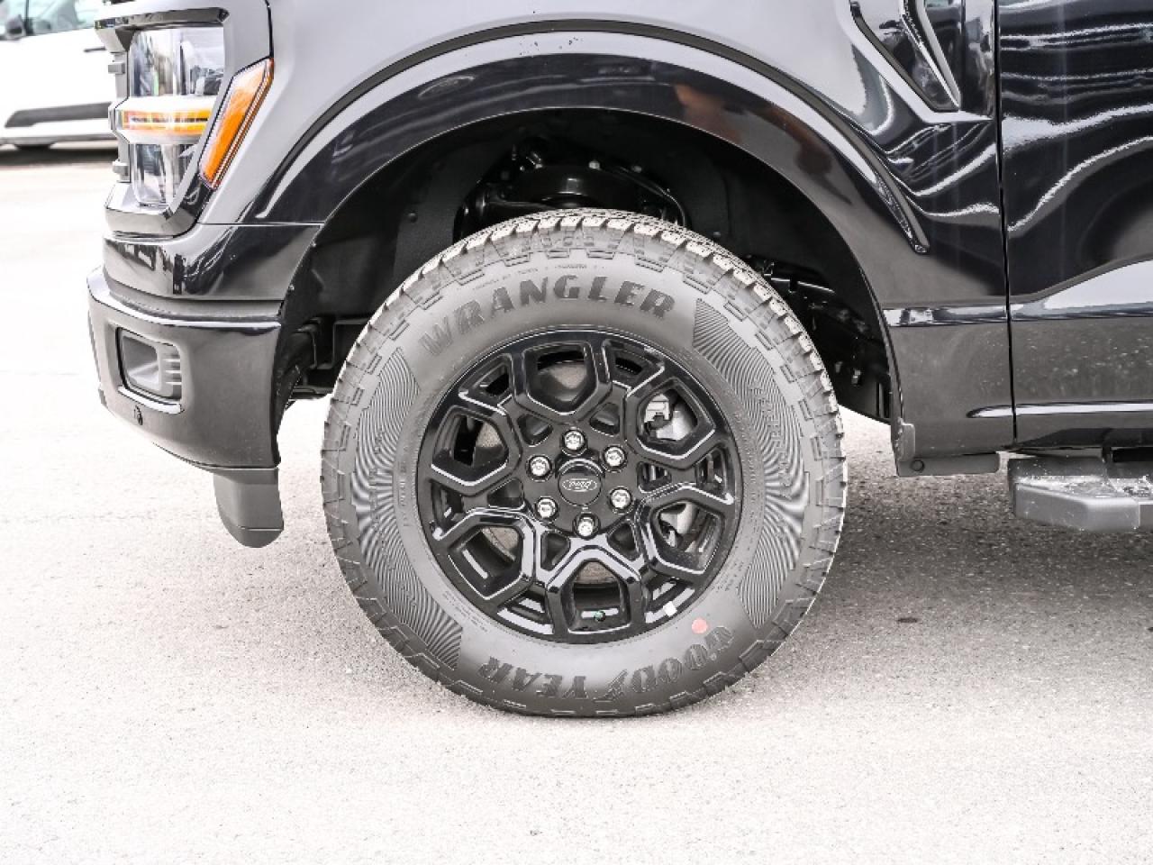 2025 Ford F-150 XLT Photo