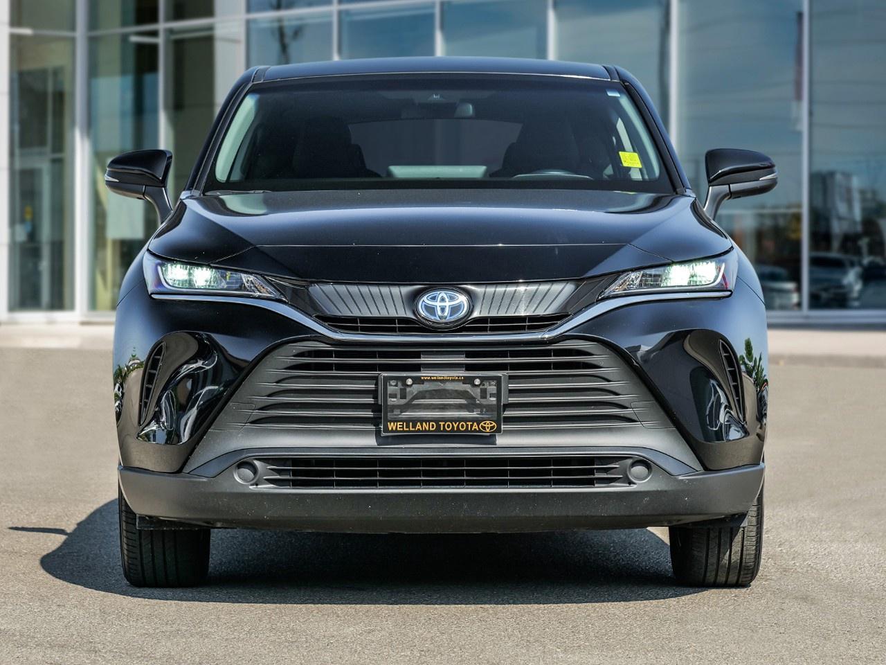 2024 Toyota Venza LE Photo3