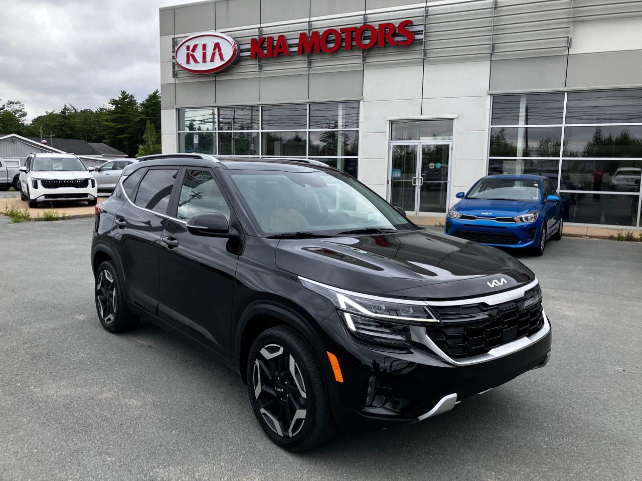 Used 2024 Kia Seltos SX w/Brown Interior for sale in Hebbville, NS