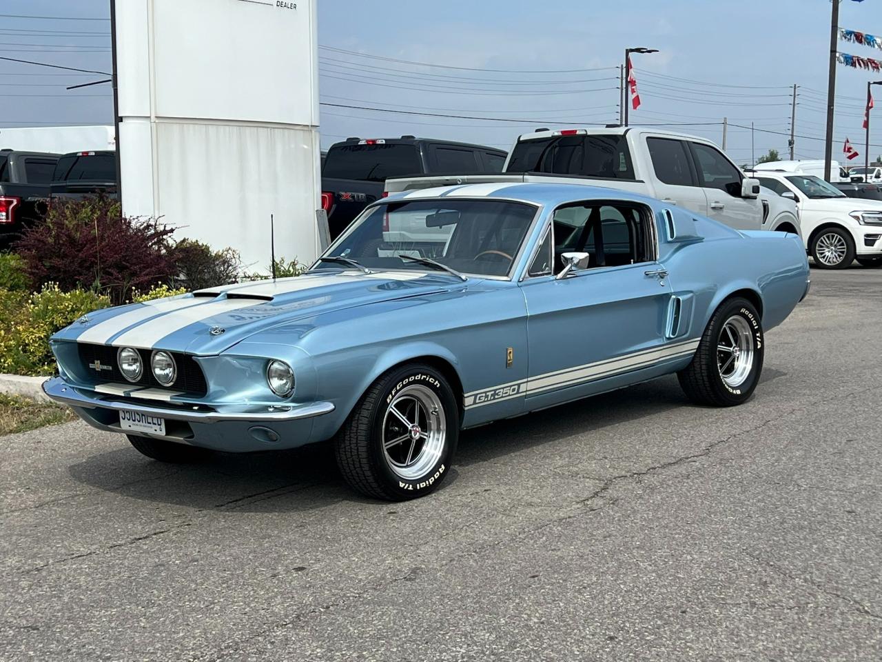 Used 1967 Ford Mustang | Shelby GT350 Tribute | 289 V8 for sale in Etobicoke, ON