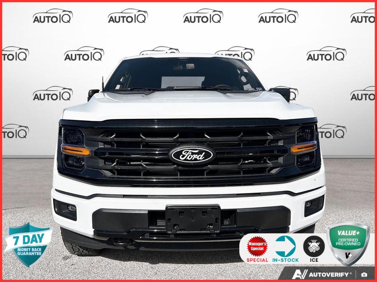 2024 Ford F-150 XLT 301A | LINER | 1 OWNER | ACCIDENT FREE | APP PKG Photo