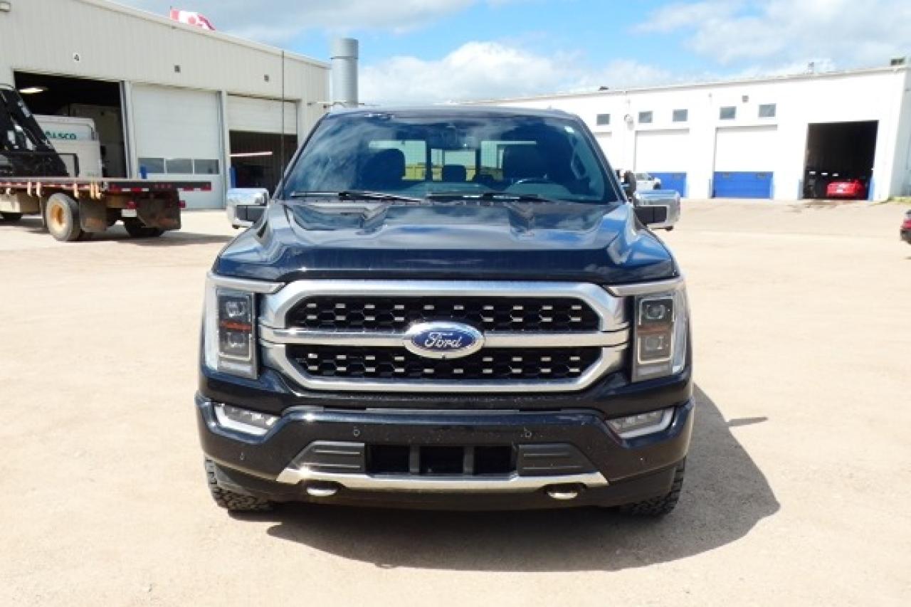 2022 Ford F-150 Platinum ecoboost w/H&C L pano S/R, NAV, BUC, PRB - Photo #3