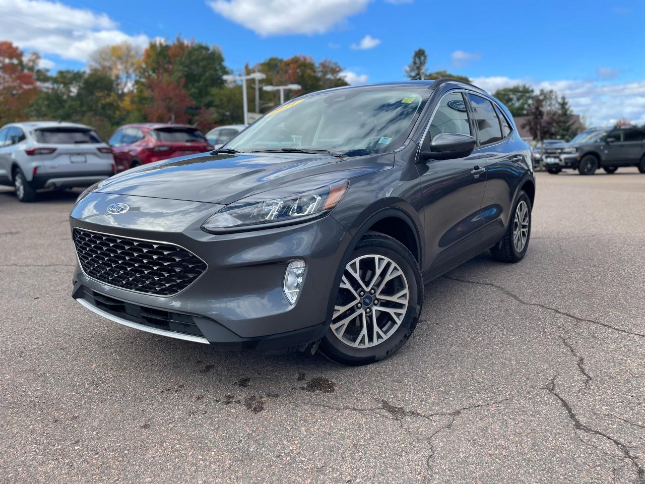 2021 Ford Escape SEL Photo