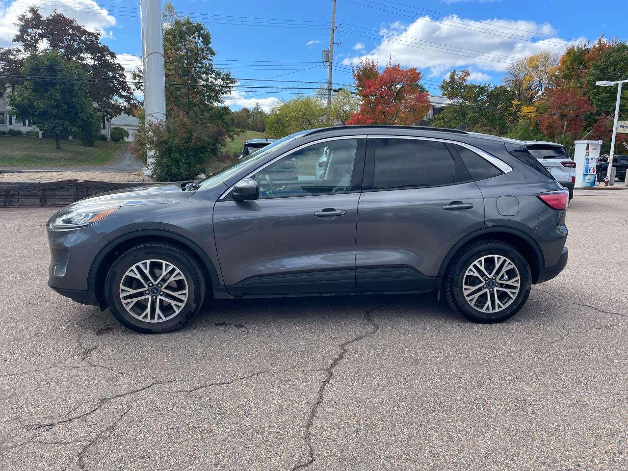 2021 Ford Escape SEL Photo