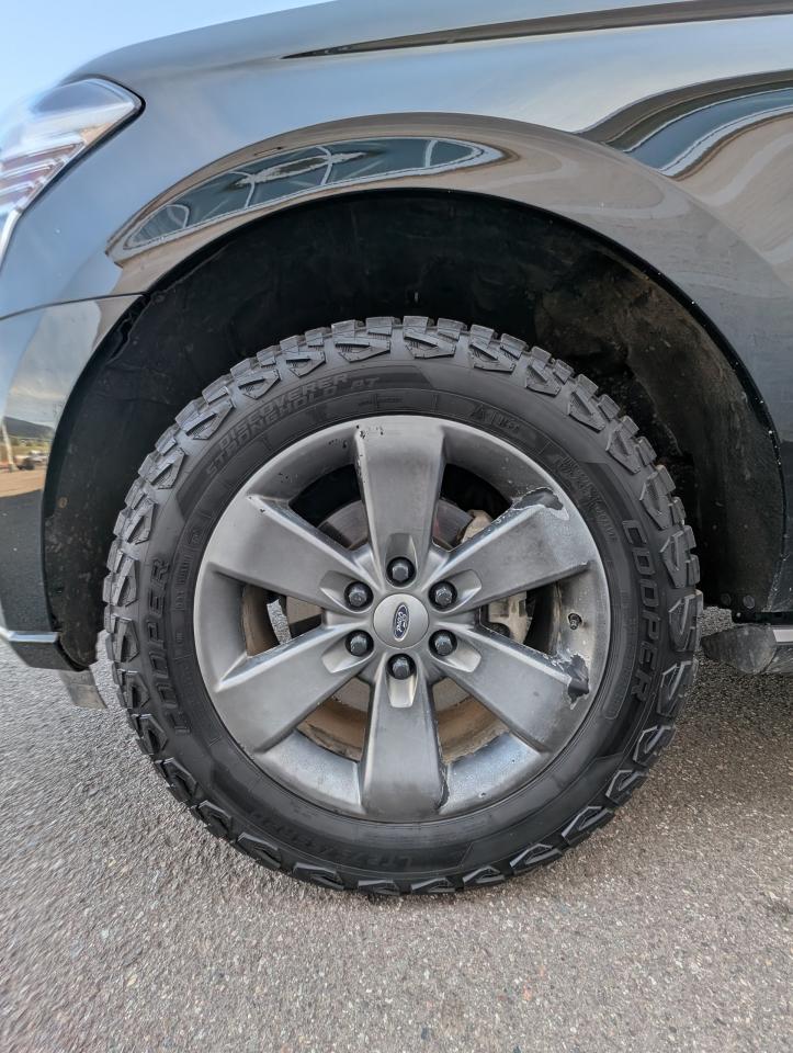 2022 Ford Expedition Platinum Max Photo