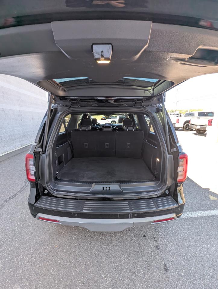 2022 Ford Expedition Platinum Max Photo