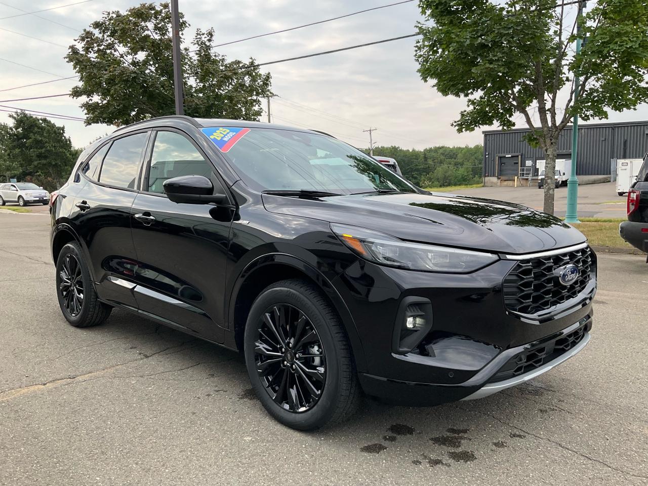 2025 Ford Escape ST-Line Elite Photo2