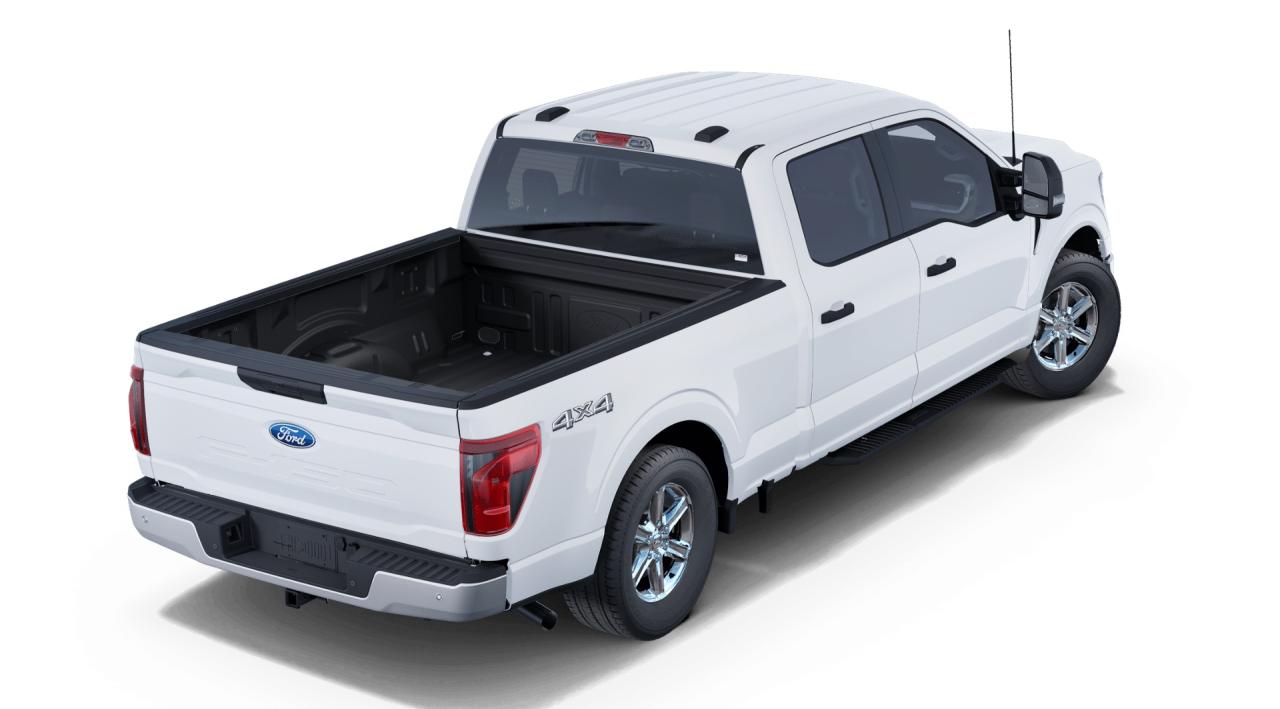2025 Ford F-150 4x4 Supercrew-157 Photo