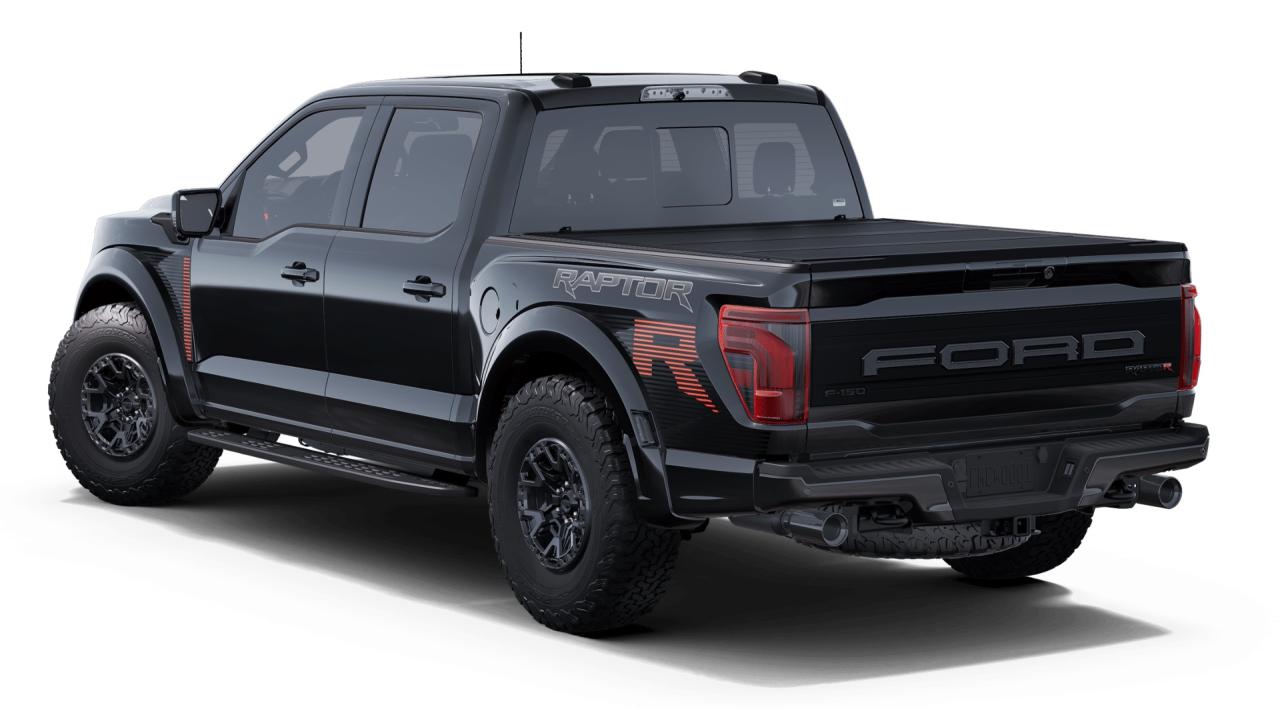 2025 Ford F-150 Raptor® Photo1