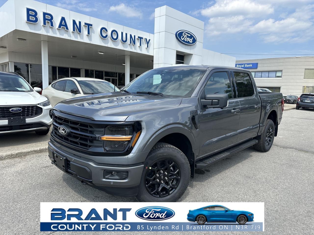 2025 Ford F-150 XLT/5.0L V8/4X4 Photo0