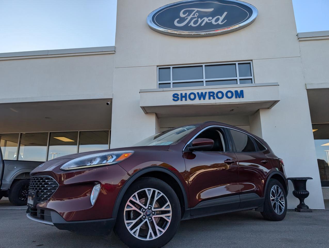 2021 Ford Escape SEL Photo0