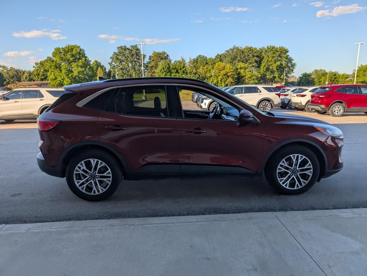 2021 Ford Escape SEL Photo3