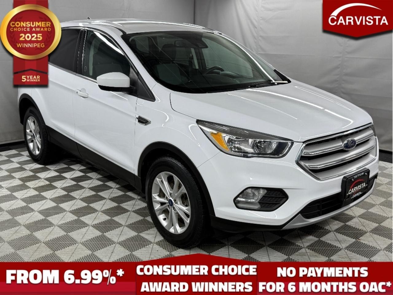 Used 2019 Ford Escape SE 4WD - NO ACCIDENTS/LOCAL TRADE IN - for sale in Winnipeg, MB