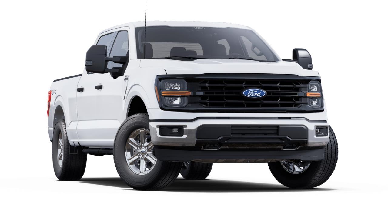 2025 Ford F-150 4x4 Supercrew-157 Photo