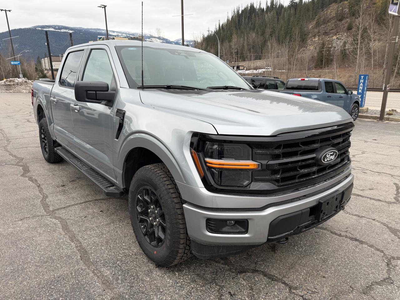 2025 Ford F-150 XLT Photo3
