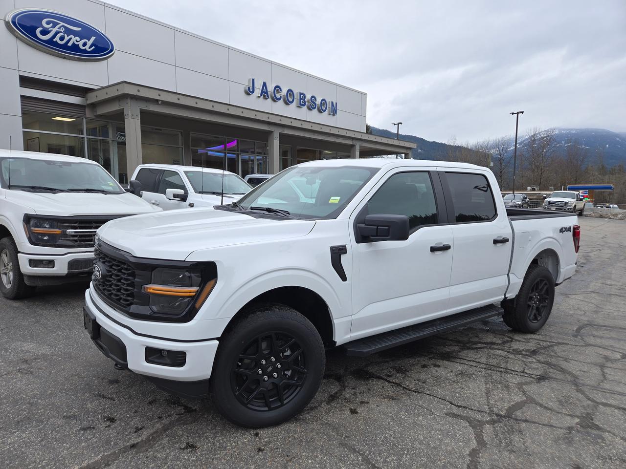 2025 Ford F-150 STX Photo1