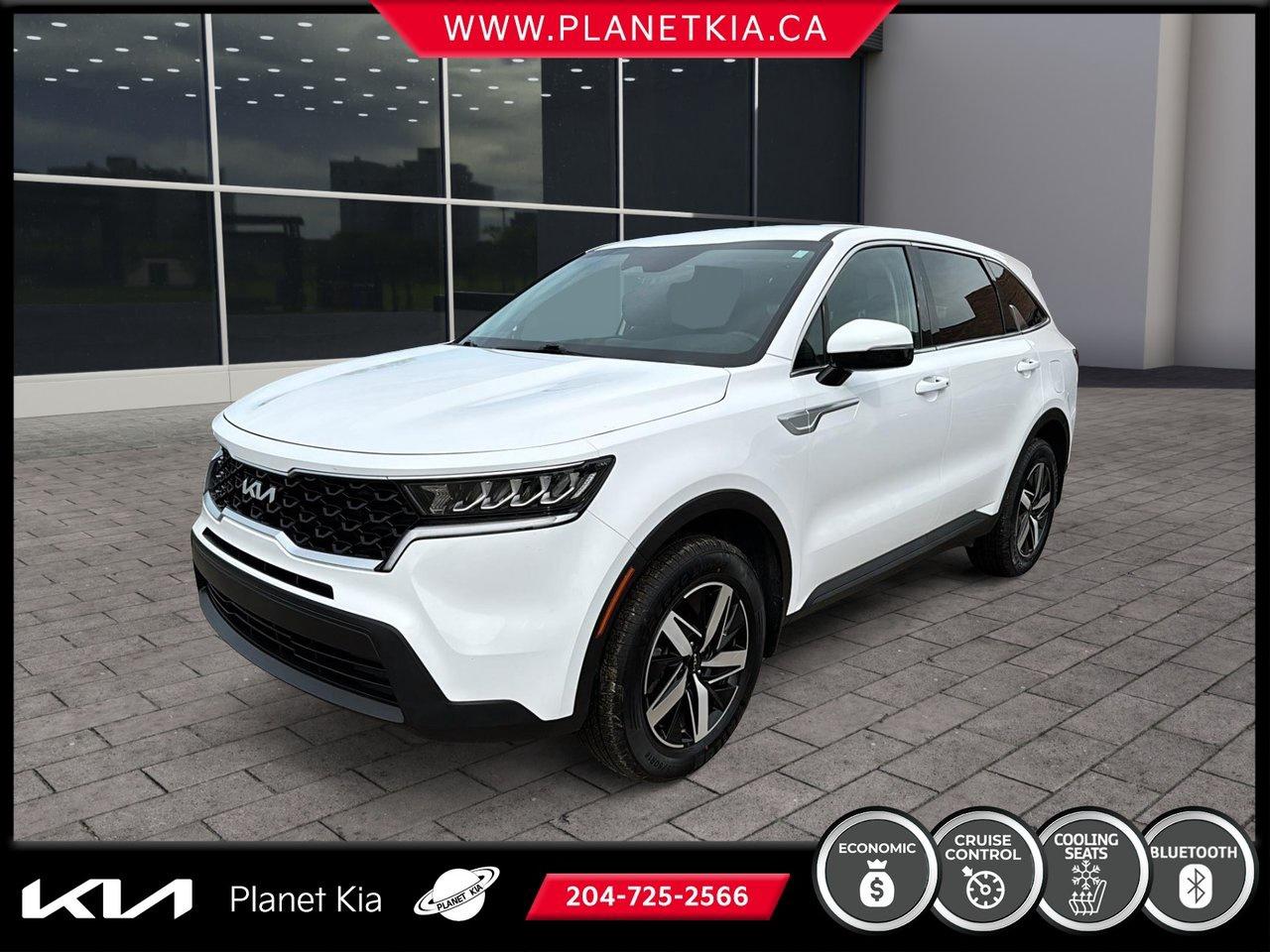 <h2 data-start=210 data-end=273>2022 Kia Sorento LX Premium &ndash; Planet Kia Brandon, Manitoba</h2>
<p data-start=275 data-end=525>Upgrade your driving experience with the <strong data-start=316 data-end=347>2022 Kia Sorento LX Premium</strong>, now available at <strong data-start=366 data-end=401>Planet Kia in Brandon, Manitoba</strong>. This midsize SUV is designed for families and adventurers who need space, style, and advanced features at a great value.

<h3 data-start=527 data-end=546>Key Features:</h3>
<ul data-start=547 data-end=1696>
<li data-start=547 data-end=801>
<p data-start=549 data-end=801><strong data-start=549 data-end=578>Performance & Efficiency:</strong> Powered by a responsive 2.5-liter 4-cylinder engine paired with an 8-speed automatic transmission, the Sorento LX Premium delivers smooth performance and excellent fuel economy for both city streets and highway cruising.

</li>
<li data-start=802 data-end=976>
<p data-start=804 data-end=976><strong data-start=804 data-end=826>Spacious Interior:</strong> With three rows of seating, this SUV comfortably accommodates up to seven passengers, offering flexible cargo space with easy fold-flat rear seats.

</li>
<li data-start=977 data-end=1166>
<p data-start=979 data-end=1166><strong data-start=979 data-end=1005>Comfort & Convenience:</strong> Includes heated front seats, dual-zone automatic climate control, keyless entry, push-button start, and a leather-wrapped steering wheel for an upscale touch.

</li>
<li data-start=1167 data-end=1325>
<p data-start=1169 data-end=1325><strong data-start=1169 data-end=1184>Technology:</strong> Stay connected with an intuitive touchscreen infotainment system featuring Apple CarPlay, Android Auto, Bluetooth, and multiple USB ports.

</li>
<li data-start=1326 data-end=1535>
<p data-start=1328 data-end=1535><strong data-start=1328 data-end=1345>Safety First:</strong> Equipped with advanced driver-assist features such as blind-spot monitoring, forward collision avoidance, lane-keeping assist, and a rearview camera for added confidence behind the wheel.

</li>
<li data-start=1536 data-end=1696>
<p data-start=1538 data-end=1696><strong data-start=1538 data-end=1557>Stylish Design:</strong> The LX Premium trim showcases bold exterior lines, alloy wheels, roof rails, and LED lighting that enhance both looks and functionality.

</li>
</ul>
<h3 data-start=1698 data-end=1727>Why Planet Kia Brandon?</h3>
<p data-start=1728 data-end=1984>At <strong data-start=1731 data-end=1766>Planet Kia in Brandon, Manitoba</strong>, we&rsquo;re proud to offer vehicles that combine quality, reliability, and value. The <strong data-start=1848 data-end=1879>2022 Kia Sorento LX Premium</strong> is the perfect choice for drivers seeking a versatile SUV with modern technology and comfort built in.







Planet Kia is thrilled to be Brandon Manitoba&rsquo;s Preowned Kia Superstore! With tons of vehicles on ground including Nissan, Toyota, Honda, Acura, Volkswagen, Subaru, Hyundai, Mitsubishi, Kia, Ford, Dodge, Chevrolet, GMC with at least 50% being pre-owned Kia&rsquo;s, we will find the right vehicle for you.&nbsp;



New to Canada? Bad credit? No credit?&nbsp;



At Planet Kia we have a 99% approval rate, regardless of your credit situation we can get you approved on a new or used vehicle, if we can&rsquo;t do it then no one can!&nbsp;




We are proud to be the locally owned and operated, Come in and see why consumers are choosing Planet Kia.




Dealer Permit # 2824