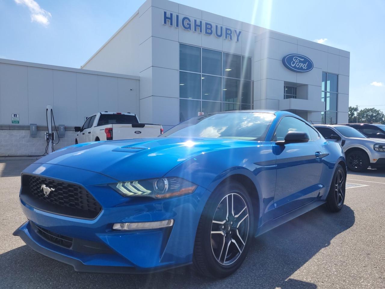 Used 2021 Ford Mustang EcoBoost Premium for sale in London, ON