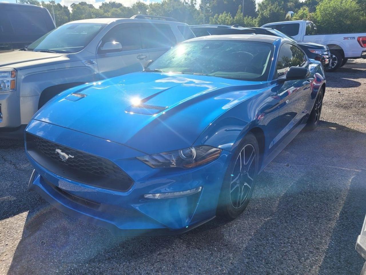 2021 Ford Mustang EcoBoost Premium