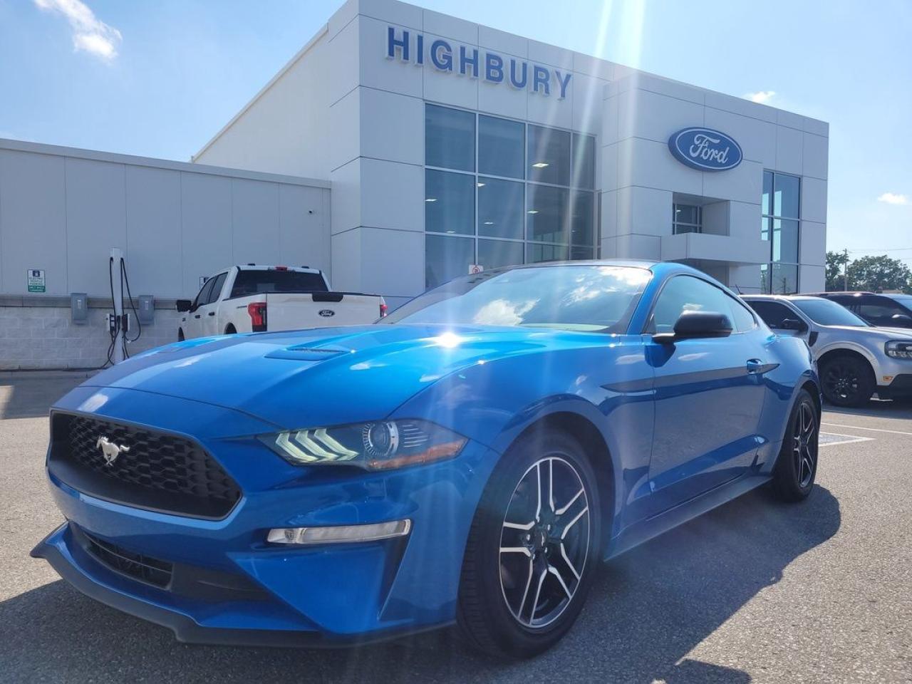 Used 2021 Ford Mustang EcoBoost Premium for sale in London, ON
