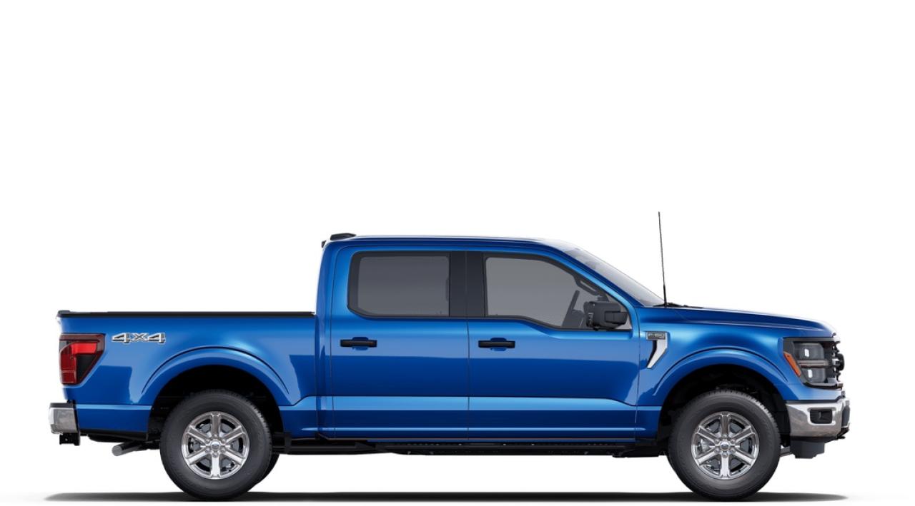 2025 Ford F-150 XLT Photo